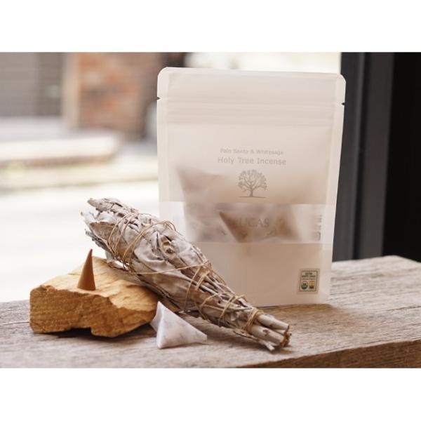 労Ӊi LUCAS pTgGNXgEzCgZ[W CZX 10