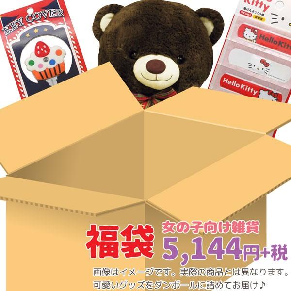 Girl Fuku 5555 のあのはこぶね ファン キャラクター雑貨福袋 女の子向け アイテム数は １１点前後 Buyee Buyee Japanese Proxy Service Buy From Japan Bot Online