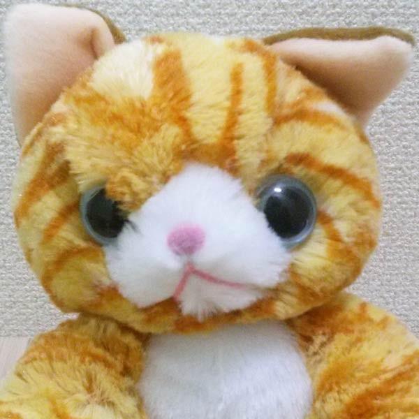 内藤デザイン いっしょがいいね ぬいぐるみビーンズ トラ猫 アニマル ネコ ねこ 猫 動物 玩具 ｔｏｙ ギフト プレゼント Ev 7rcu Rgrf パサパ 通販 Yahoo ショッピング