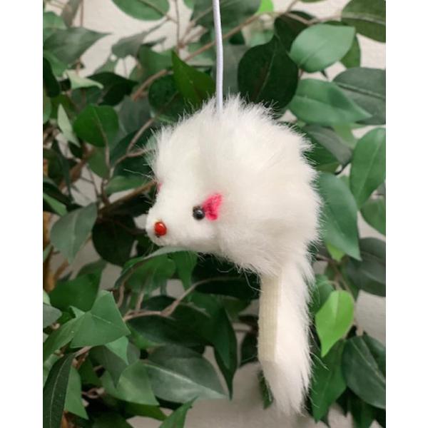 lY~N̂ 1iLp)ySq@10cmzLbg^[iLbg^[ p[c CAT WINGS LbgECOX