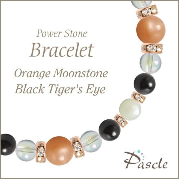 p[Xg[ uXbg IW[Xg[EubN^CK[AC lEvw~  a 6 d^ ^