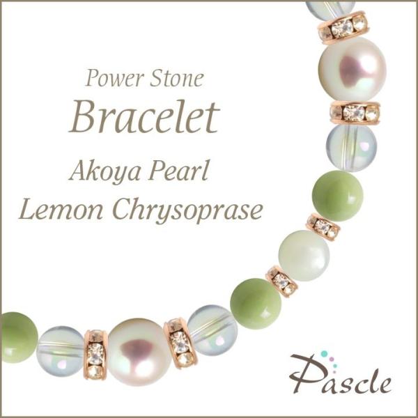 �p���[�X�g�[�� �u���X���b�g �A�R���^��E�������N���\�v���[�Y ���N �a���� 6�� ���� �l�Ԋ֌W