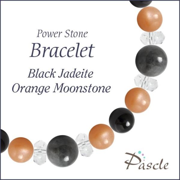 p[Xg[ uXbg ŐEIW[Xg[ d^ a 5 ]A lEvw~  6