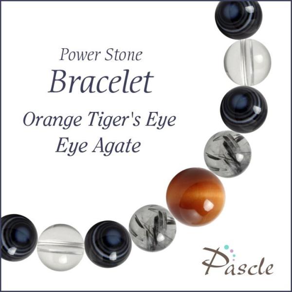 p[Xg[ uXbg IW^CK[ACEV d^ ^ E lԊ֌W A 