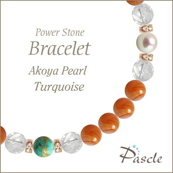 p[Xg[ uXbg T[hIjLXE^[RCY a 8 lEvw~ ^ E 12 lԊ֌W