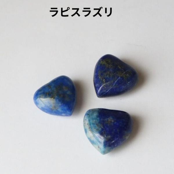 pasmii_100yen_6_d_20260201103414