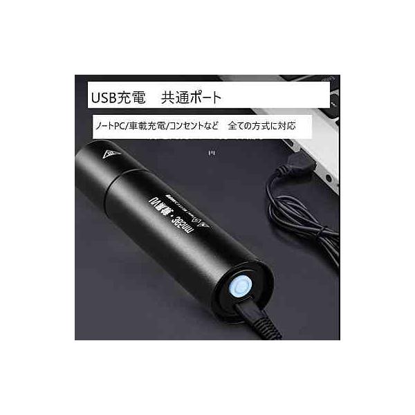 pasmii_blacklight_2_d_20230628093420