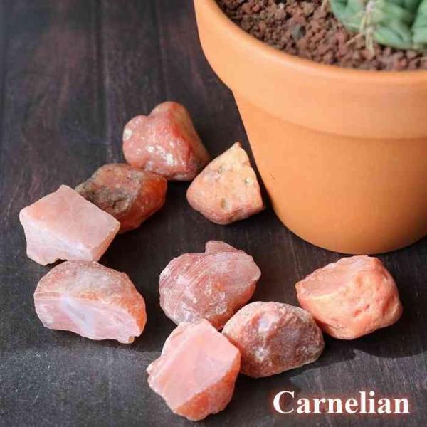 カーネリアン　ぷっくりハート　天然石　置物 カーネリアン ハート ぷっくりちゃん 天然石 - 置物ベストセラー