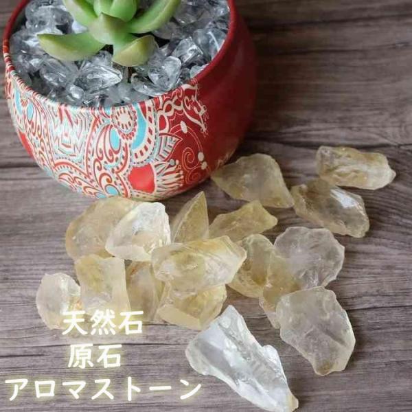 pasmii_dcst_d_20231116100226