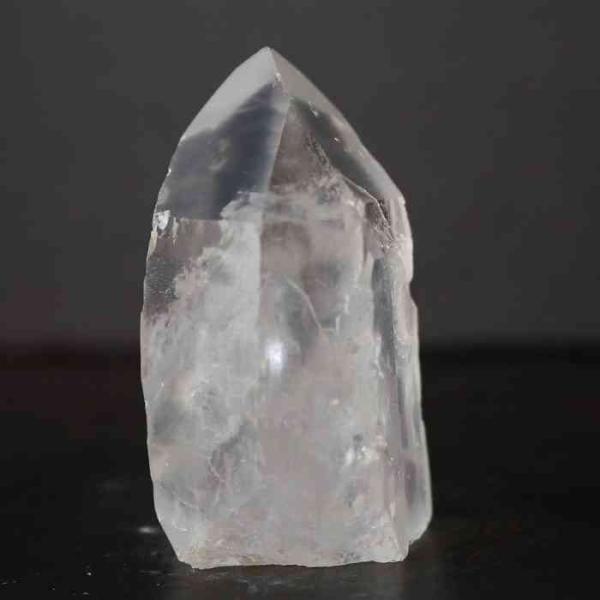 pasmii_lemurianb64_1_d_20230325084006