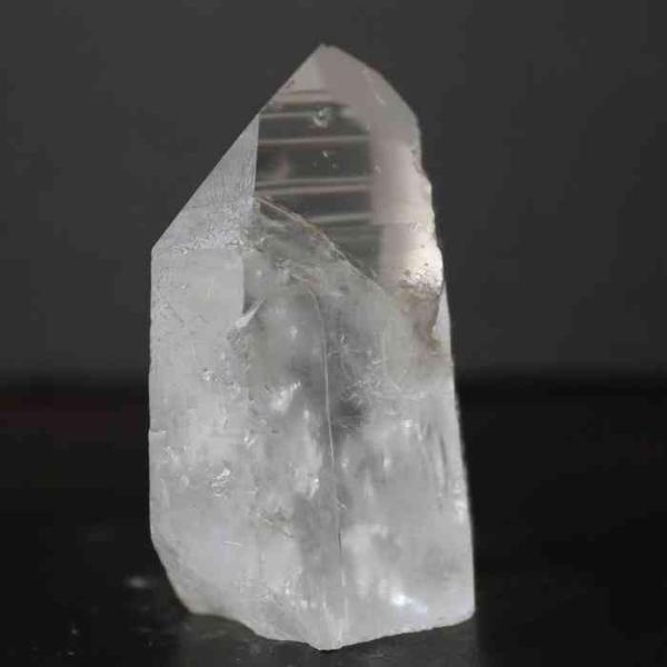 pasmii_lemurianb64_2_d_20230325084013