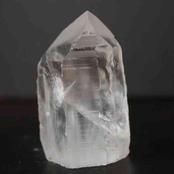 pasmii_lemurianb64_3_d_20230325084020