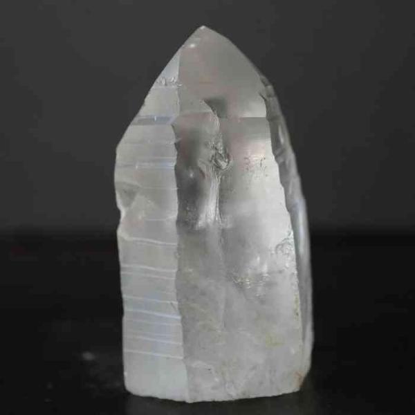 pasmii_lemurianb64_4_d_20230325084028