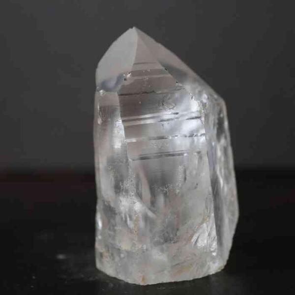 pasmii_lemurianb64_5_d_20230325084036