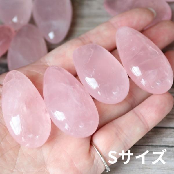 pasmii_rosedrop_1_d_20241010140124