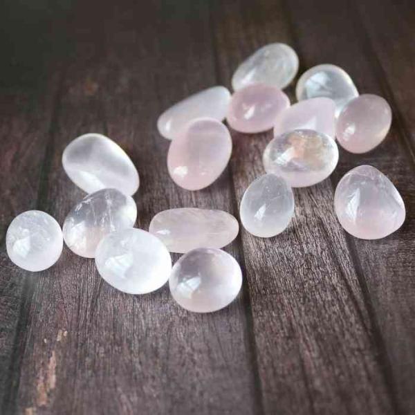 pasmii_rosest_1_d_20221209153223