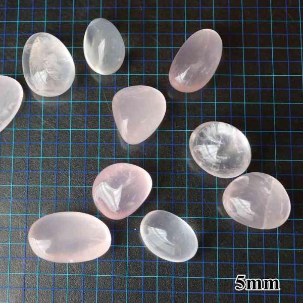 pasmii_rosest_2_d_20221209153228