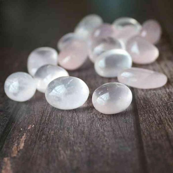 pasmii_rosest_3_d_20221209153233