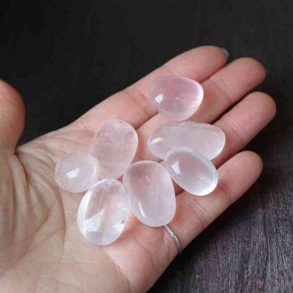 pasmii_rosest_4_d_20221209153239