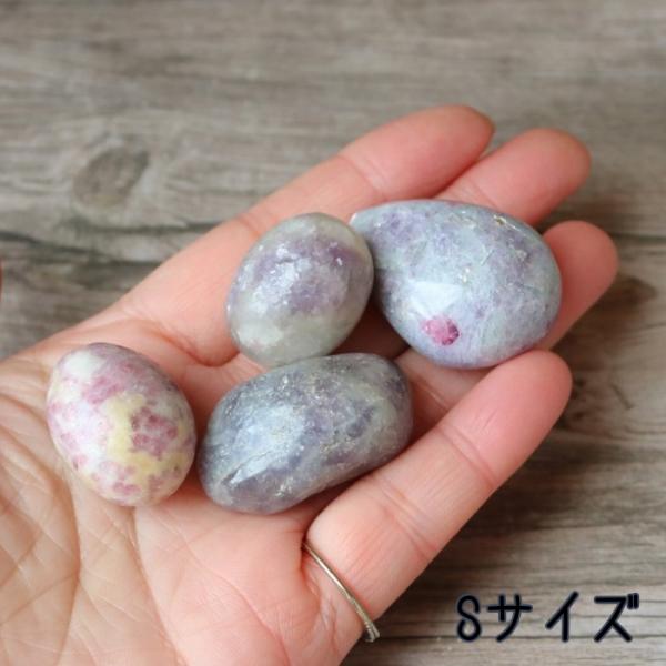 pasmii_unicornts_2_d_20250121160746