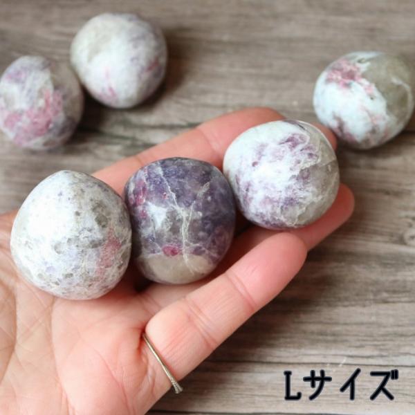 pasmii_unicornts_5_d_20250121160805