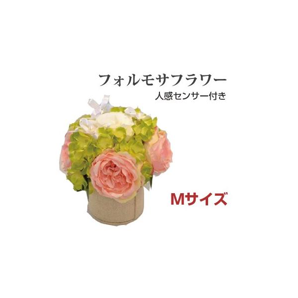 CeAƖ tHTt[ zCg[Y MTCY LEDCg  AWgt[ i G lZT[ zCg