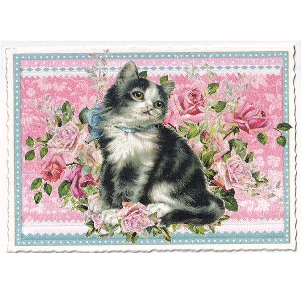 patapataminzoku_pk224