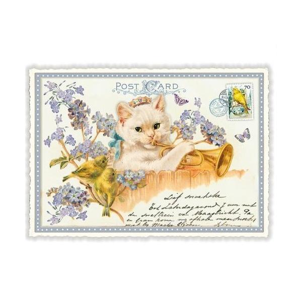 patapataminzoku_pk46