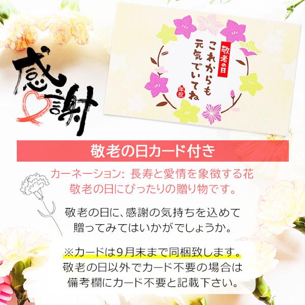 �h�V�̓� �v���[���g �M�t�g 80�� 70�� �� �c�� �t�����[�M�t�g ������� �L����� �v���[���g �a���� �l�R�O�b�Y ���L �˂� ���� �o�� �ԑ� ���蕨 ���j�� ���i�摜1