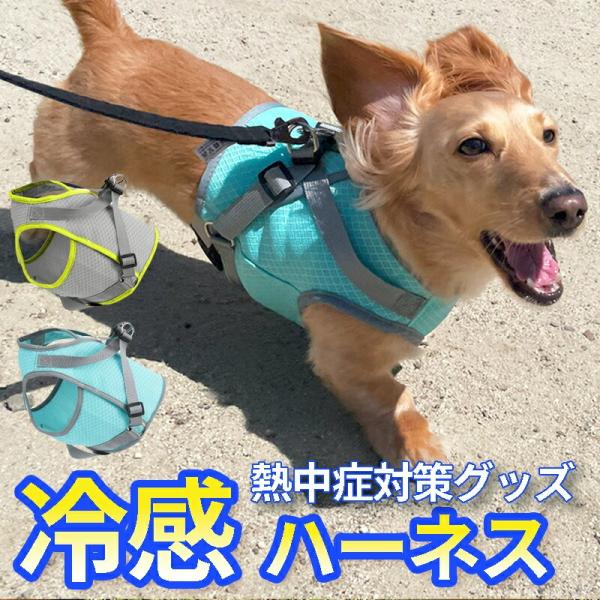 モデル:：おもちくん　ミニチュアダックスフンド　体重6kg　首まわり cm　着丈 24cm　バスト41cm　ウエスト34cm <br>着用サイズ :Sサイズ着用<br><br>■サイズ: S M L &l...