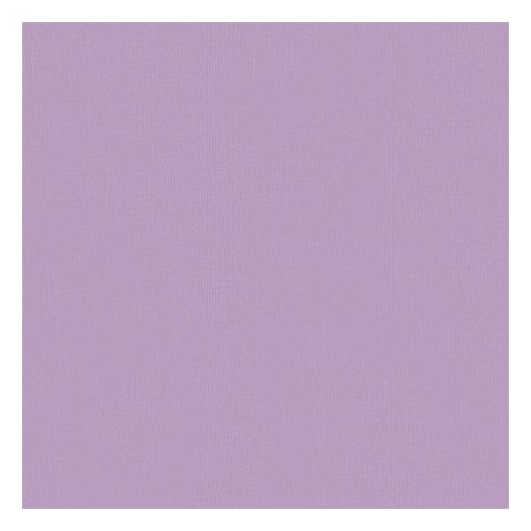 oCIbg̖nn t@ubN fab-sld-violet-c75 y4[h܂Ń[։z