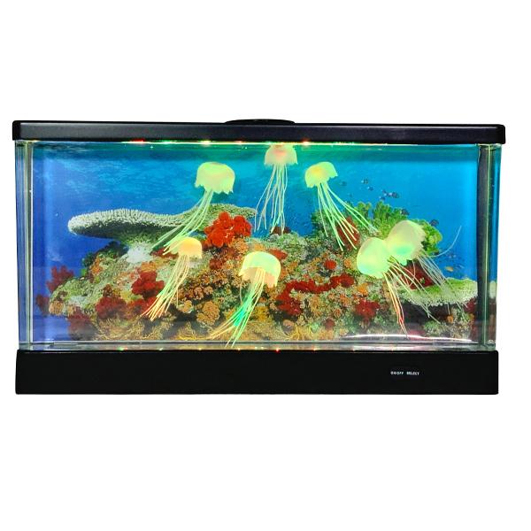 CVO ANAE NQ Ch 18161