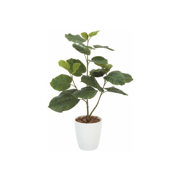 ウンベラータ 造花の人気商品 通販 価格比較 価格 Com