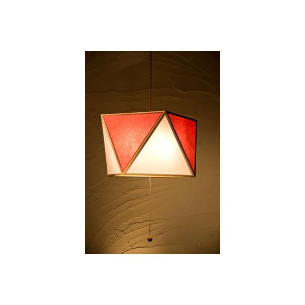 �V�m�d�C �y���_���g���C�g �� sai L 3���^�C�v AP817-3-C ��×��