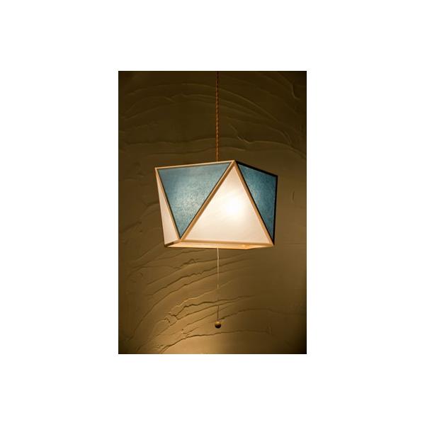 �V�m�d�C �y���_���g���C�g �� sai L 3���^�C�v AP817-3-D ��×��
