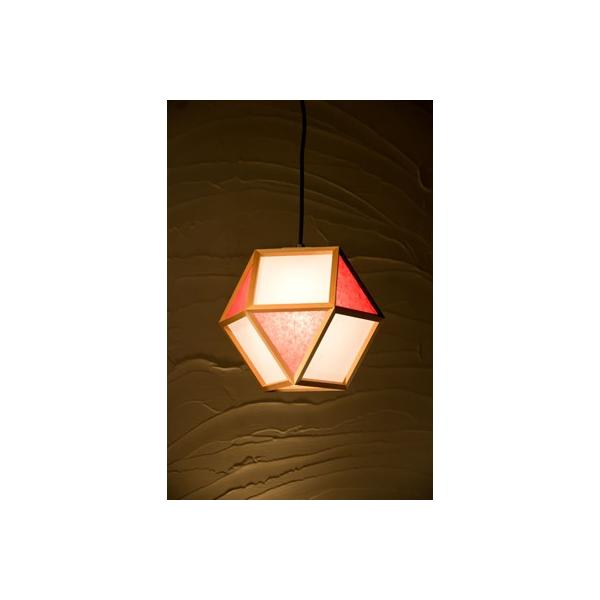 VmdC y_gCg I mato L 1^Cv AP831-C ×