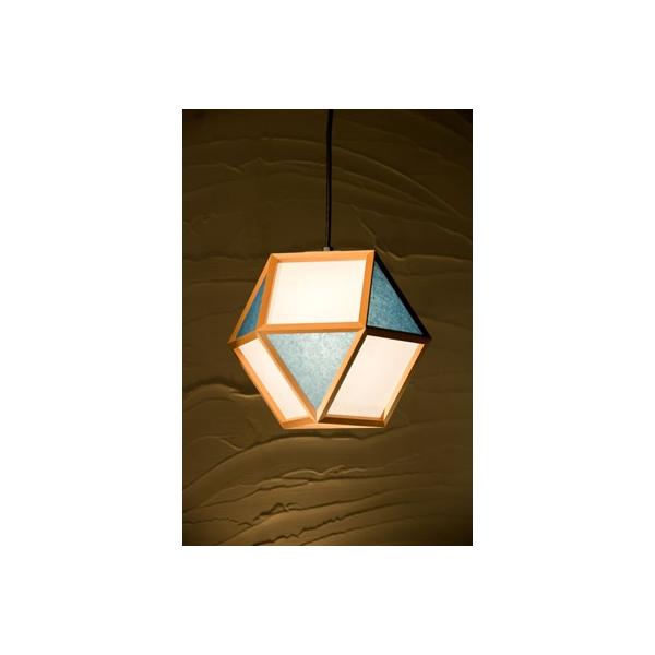 VmdC y_gCg I mato L 1^Cv AP831-D ×