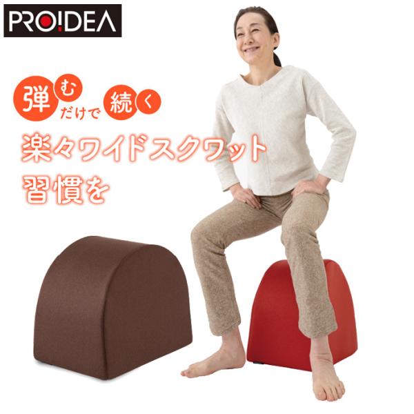 PROIDEA（プロイデア） ドリーム エクササイズクッション ワイド