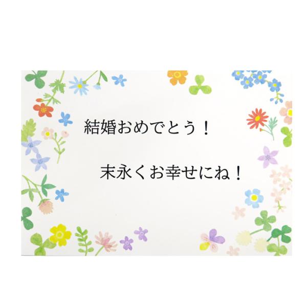 ・外部倉庫からの出荷の場合、通常納期+5営業日前後、納期がかかる場合がございます。・即納対応が出来ない場合がございます。予めご了承くださいませ。メッセージカード添付　※ご注文時に備考欄へ【メッセージ内容】をご入力下さい。