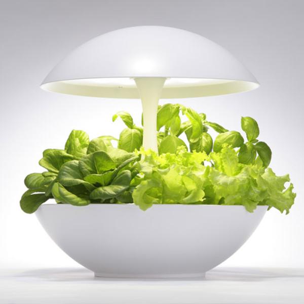 間接照明 オリンピア 水耕栽培器 家庭菜園 Akarina OMA01SS1 Akarina01 OMA01 | 灯菜 LED水耕栽培器 | おしゃれなインテリア