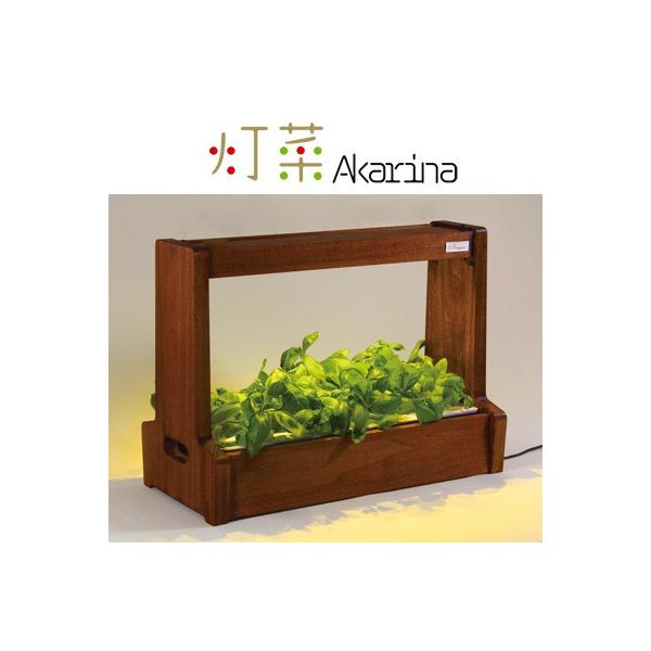 LEDk͔| A琬 ؁iAJ[ij  n[u  IsAƖ OMA06BR