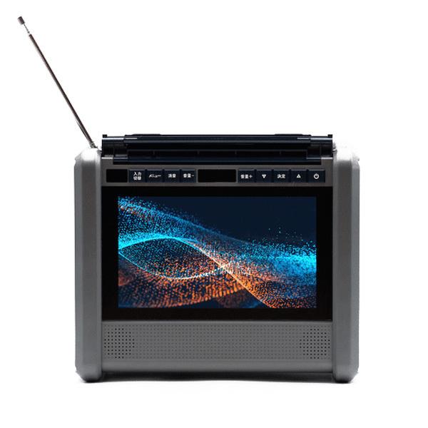 ダイニチ電子 10インチテレビ搭載ポータブル電源 パワーステーションTV PSTV-600