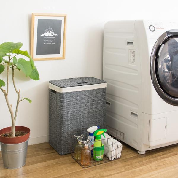 h[{bNX Eߏ ʏ [ RB-380-BL u[ 38×s24×50cm MIYATAKE {쏊