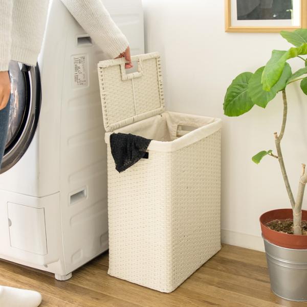 h[{bNX Eߏ ʏ [ RB-380-IV AC{[ 38×s24×50cm MIYATAKE {쏊