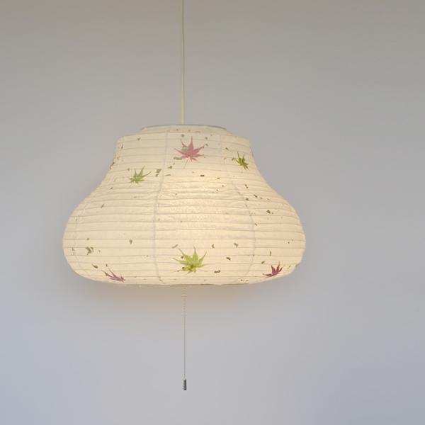 ʌfUC {aƖ aƖ2y_gCg TN SPN2-1108-salacca ݂ 6 dʔ SAIKO