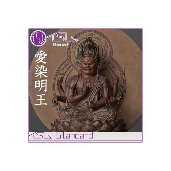 CS Standard  ݂傤 tBMA CX Standard-003031