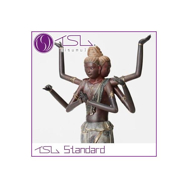 CS Standard C  tBMA CX  Standard-003038