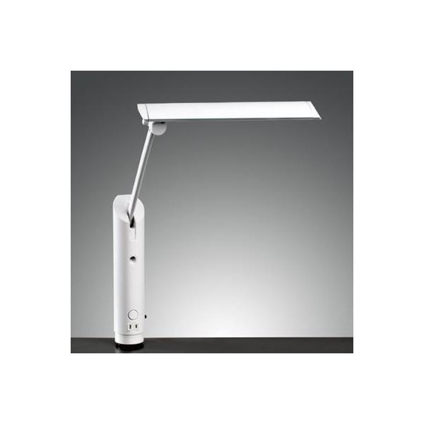 RcƖ ZCg fXNX^h LEDf Z-3600W zCg