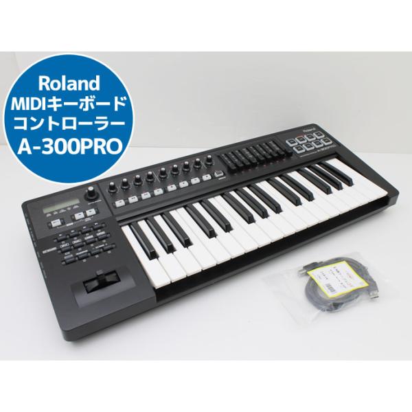 pc-atlantic_a-300pro-f pc-atlantic_a-300pro-f