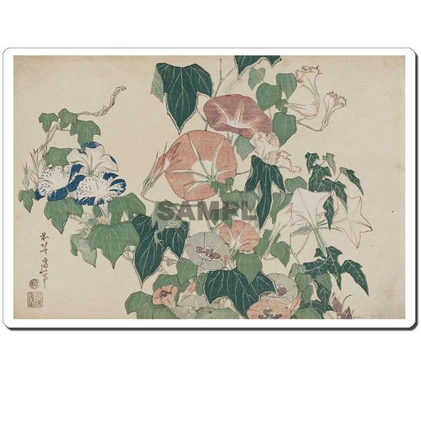 }EXpbh IWi G G}EXpbh 4019 k - ɉJ^